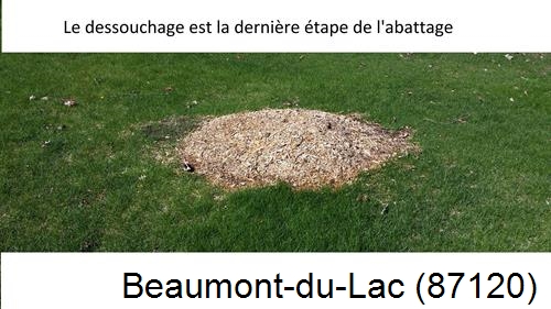 déssouchage d'arbres Beaumont-du-Lac-87120