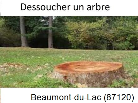 Travaux d'entretien extérieur Beaumont-du-Lac-87120