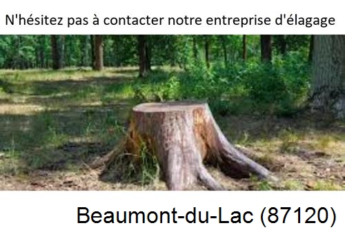 Elagage d'arbres à Beaumont-du-Lac-87120