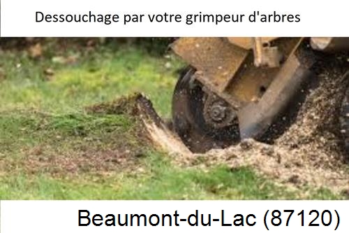 abattage d'arbres à Beaumont-du-Lac-87120