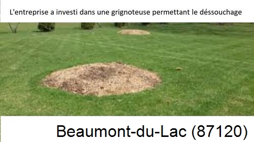 Artisan pour déssouchage d'arbres Beaumont-du-Lac-87120
