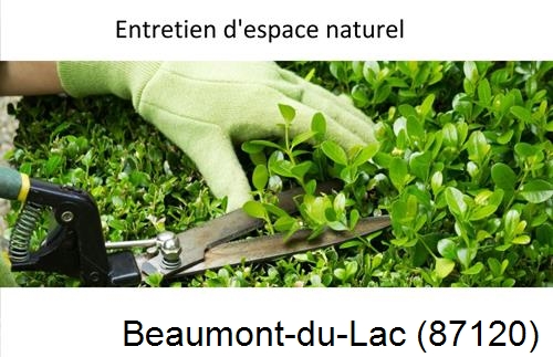 Rénovation jardin particulier Beaumont-du-Lac-87120