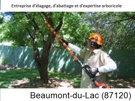 Coupe tête d'arbres Beaumont-du-Lac-87120