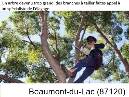 Elagueur qualifié à Beaumont-du-Lac-87120