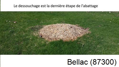 déssouchage d'arbres Bellac-87300