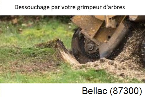 abattage d'arbres à Bellac-87300