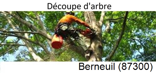 Entreprise du paysage Berneuil-87300