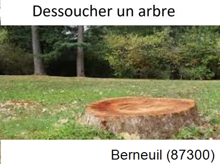 Travaux d'entretien extérieur Berneuil-87300