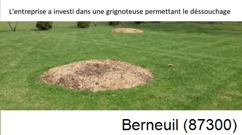 Artisan pour déssouchage d'arbres Berneuil-87300