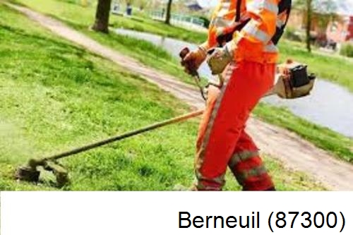 Entretien d'un jardin Berneuil-87300