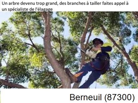 Elagueur qualifié à Berneuil-87300