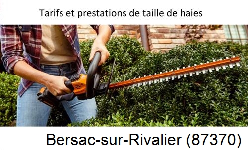 taille de haies Bersac-sur-Rivalier-87370