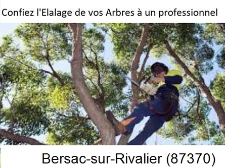 Société d'élagage à Bersac-sur-Rivalier-87370