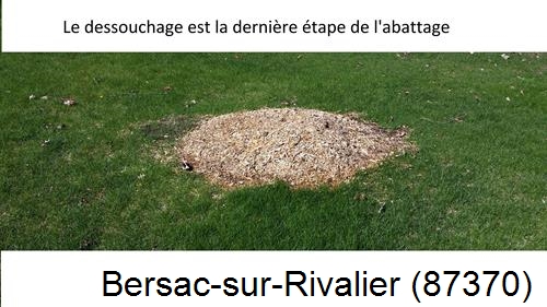 déssouchage d'arbres Bersac-sur-Rivalier-87370