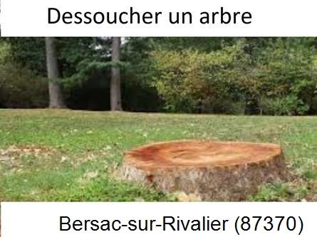 Travaux d'entretien extérieur Bersac-sur-Rivalier-87370