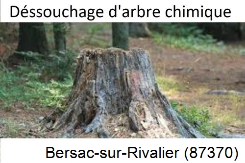 Elagueur déssouchage à Bersac-sur-Rivalier-87370