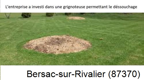 Artisan pour déssouchage d'arbres Bersac-sur-Rivalier-87370