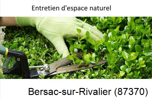 Rénovation jardin particulier Bersac-sur-Rivalier-87370