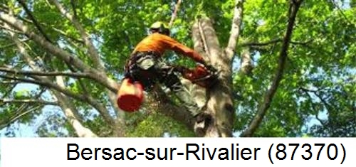 Déssouchage, étêtage d'arbres Bersac-sur-Rivalier-87370