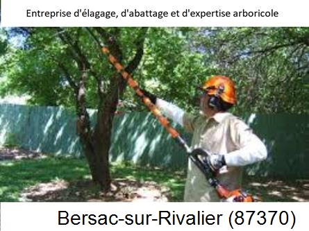 Coupe tête d'arbres Bersac-sur-Rivalier-87370