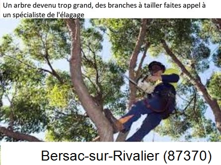 Elagueur qualifié à Bersac-sur-Rivalier-87370