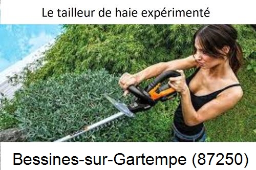 entretien jardin à Bessines-sur-Gartempe-87250