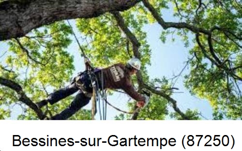 Abattage d'arbres chez un particulier Bessines-sur-Gartempe-87250