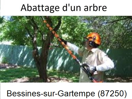 Etêtage et abattage d'un arbre Bessines-sur-Gartempe-87250