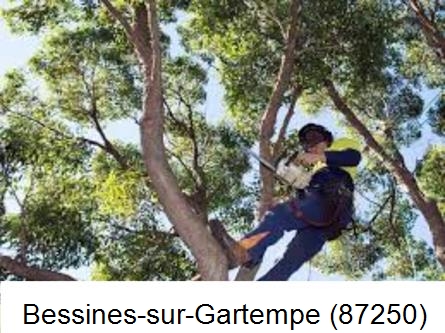 Elagueur à Bessines-sur-Gartempe-87250