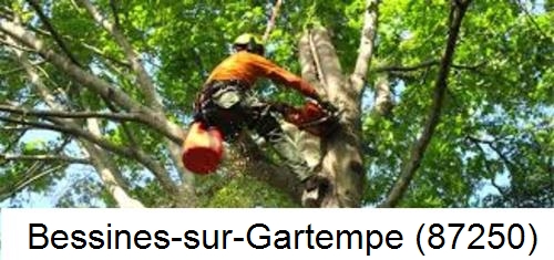 Entreprise du paysage Bessines-sur-Gartempe-87250