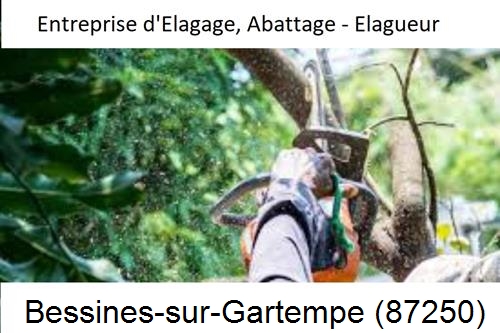Travaux d'abattage d'arbres à Bessines-sur-Gartempe-87250