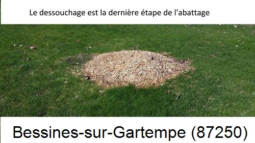 déssouchage d'arbres Bessines-sur-Gartempe-87250