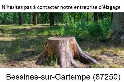 Elagage d'arbres à Bessines-sur-Gartempe-87250