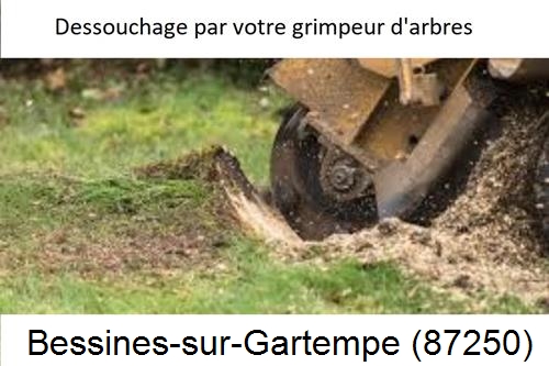 abattage d'arbres à Bessines-sur-Gartempe-87250