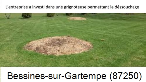 Artisan pour déssouchage d'arbres Bessines-sur-Gartempe-87250