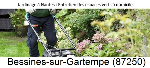 Travaux d'entretien exterieur Bessines-sur-Gartempe-87250