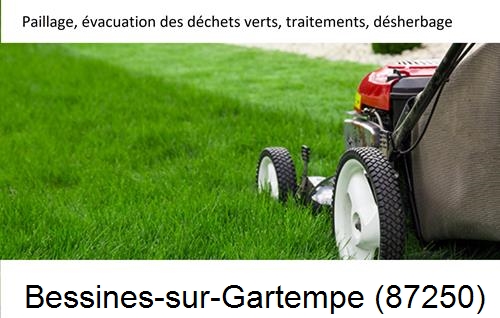 Entreprise de paysage pour entretien de jardin Bessines-sur-Gartempe-87250