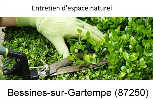 Rénovation jardin particulier Bessines-sur-Gartempe-87250