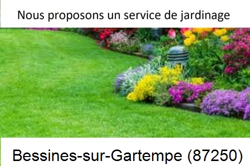 Paysagiste, travaux extérieur Bessines-sur-Gartempe-87250