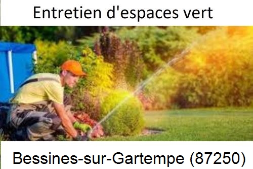 Aménagement extérieur à Bessines-sur-Gartempe-87250