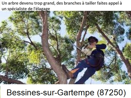 Elagueur qualifié à Bessines-sur-Gartempe-87250