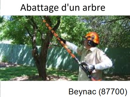 Etêtage et abattage d'un arbre Beynac-87700
