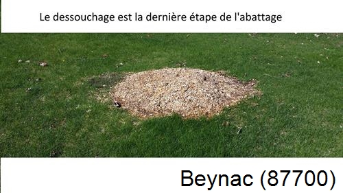 déssouchage d'arbres Beynac-87700