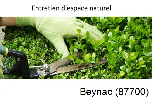Rénovation jardin particulier Beynac-87700