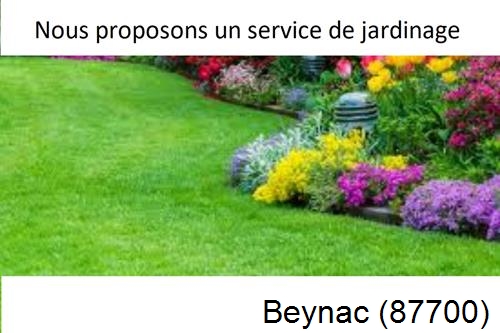 Paysagiste, travaux extérieur Beynac-87700