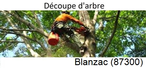 Entreprise du paysage Blanzac-87300