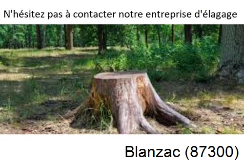 Elagage d'arbres à Blanzac-87300