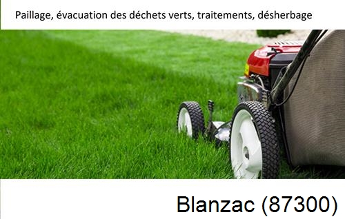 Entreprise de paysage pour entretien de jardin Blanzac-87300