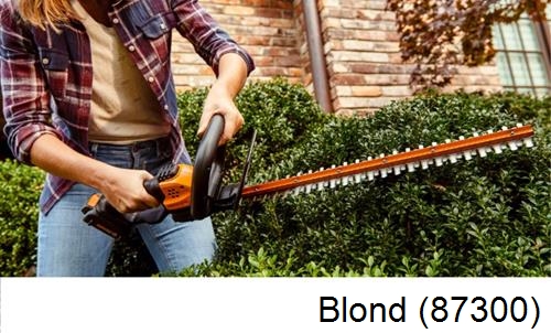 entretien jardin par paysagiste Blond-87300