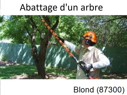 Etêtage et abattage d'un arbre Blond-87300